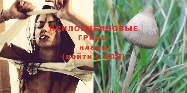 spice Лихославль