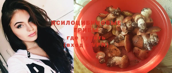 молекула духа Нязепетровск