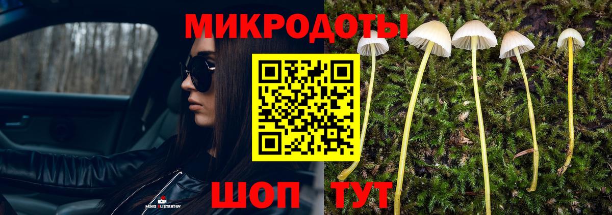 Галлюциногенные грибы ЛСД Каменск-Уральский
