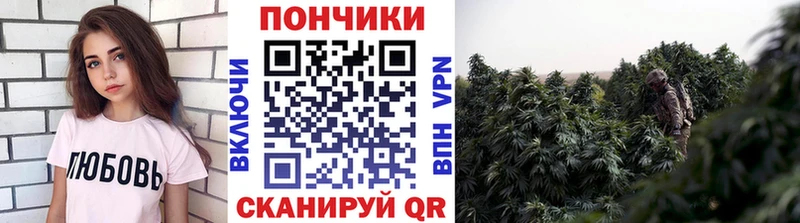 Конопля тримм гидра сайт Каменск-Уральский магазин наркотиков